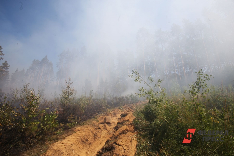 Лесной пожар