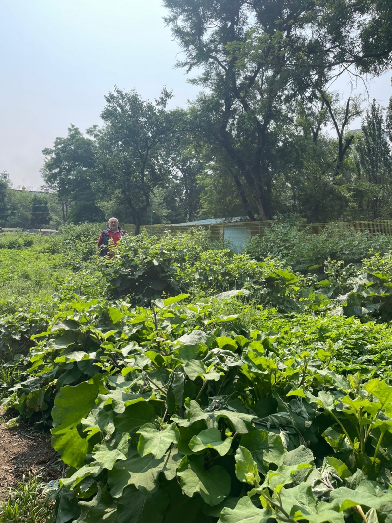 Вячеслав Глушко рассказал о своей работе в Думе и округе