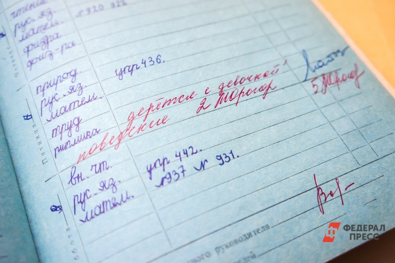 школьный дневник