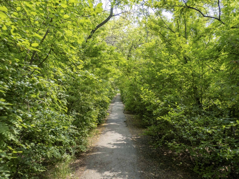 Благоустройство