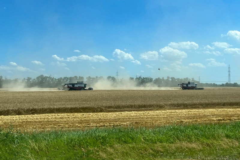 Рязанские поля