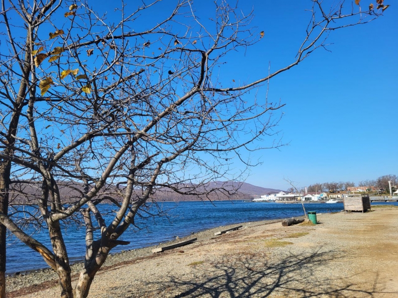 Осень во Владивостоке