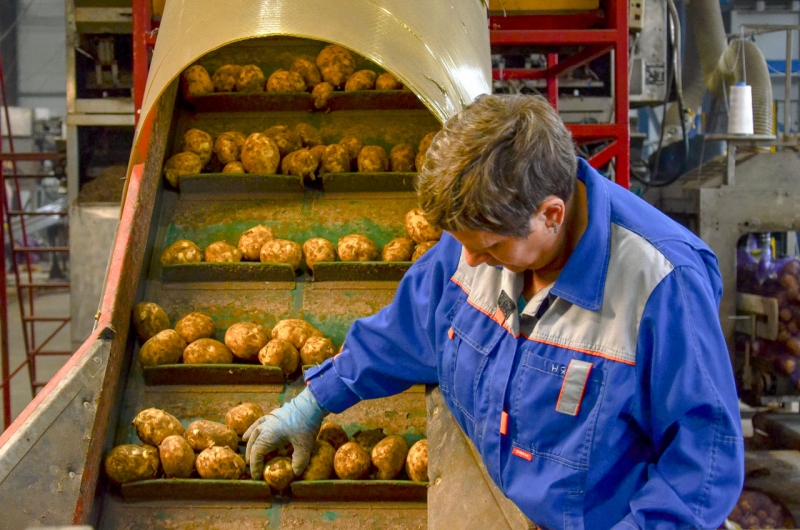 Сельское хозяйство