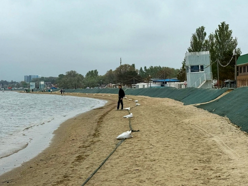 анапа мазут