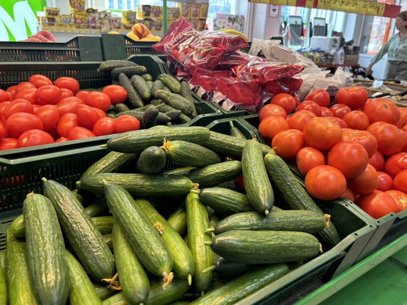 Сыр стал лидером в подъеме цены среди молочной продукции