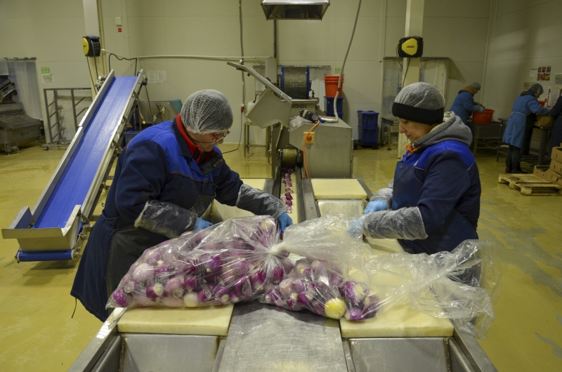 В прошлом на овощебазе проворачивали криминальные схемы