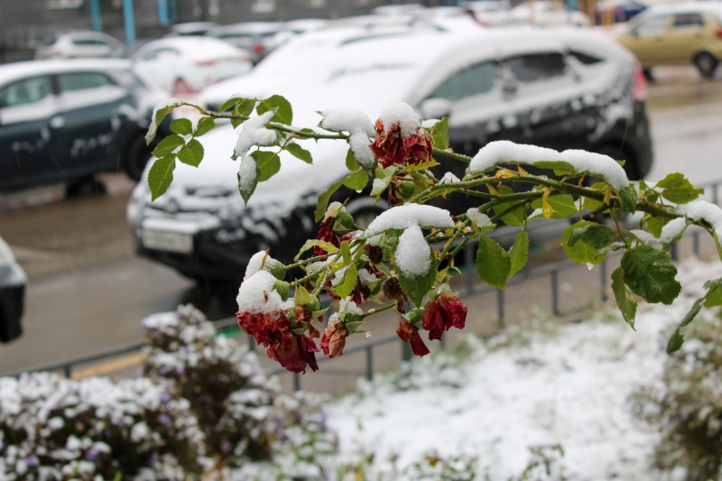 Свердловскую область завалит снегом