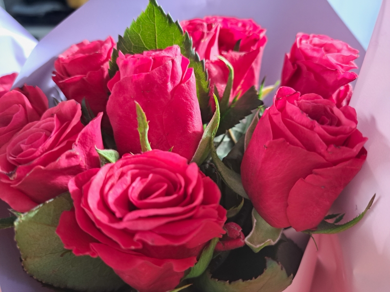 В Екатеринбург привезли прекрасные розы