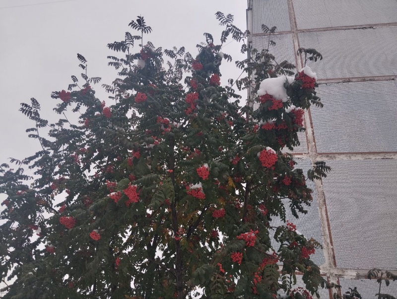 В октябре выпал снег