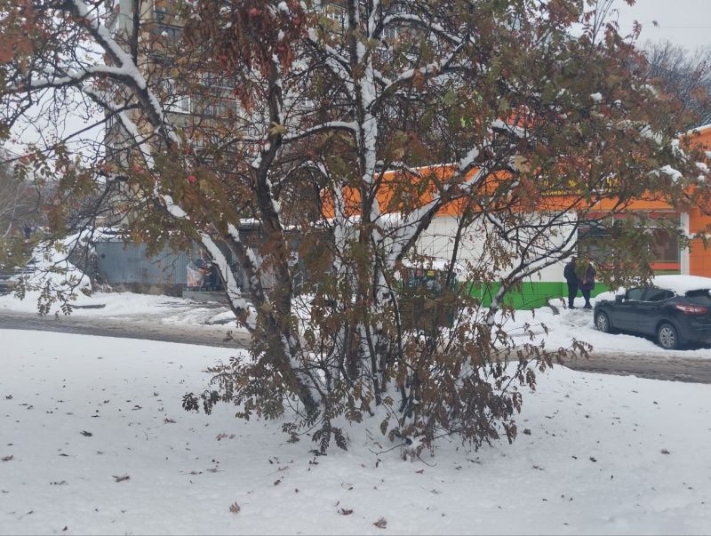 В октябре выпал снег