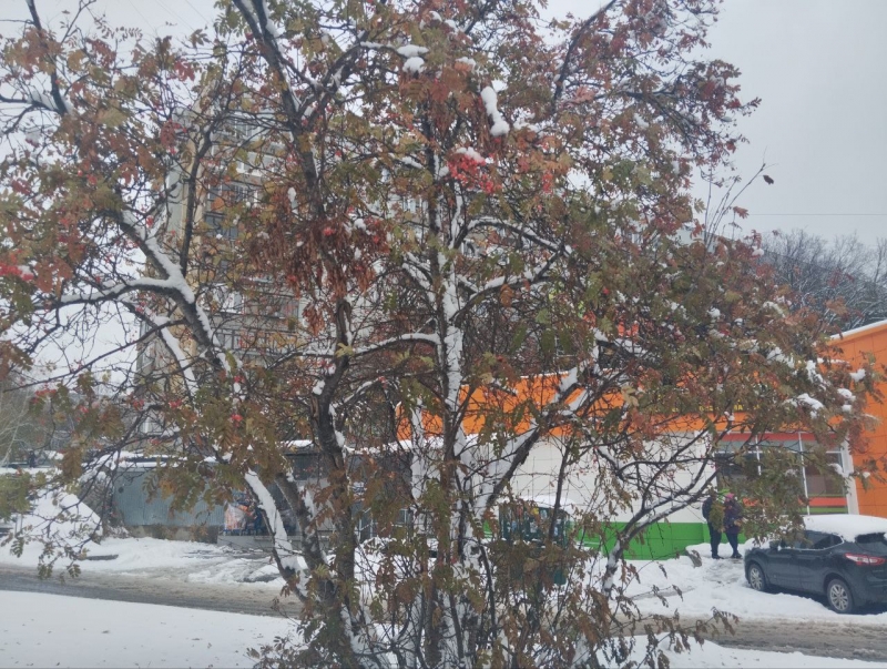 В октябре выпал снег