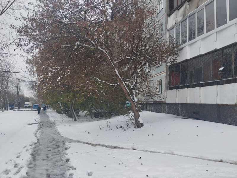 В октябре выпал снег