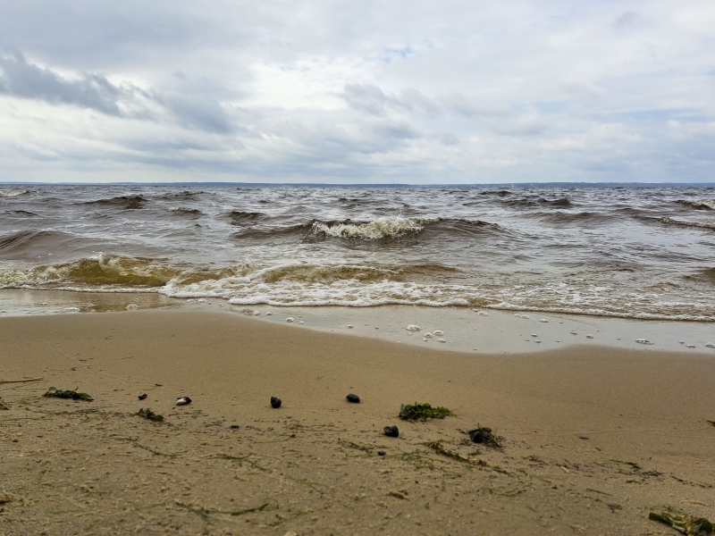 Береговая линия