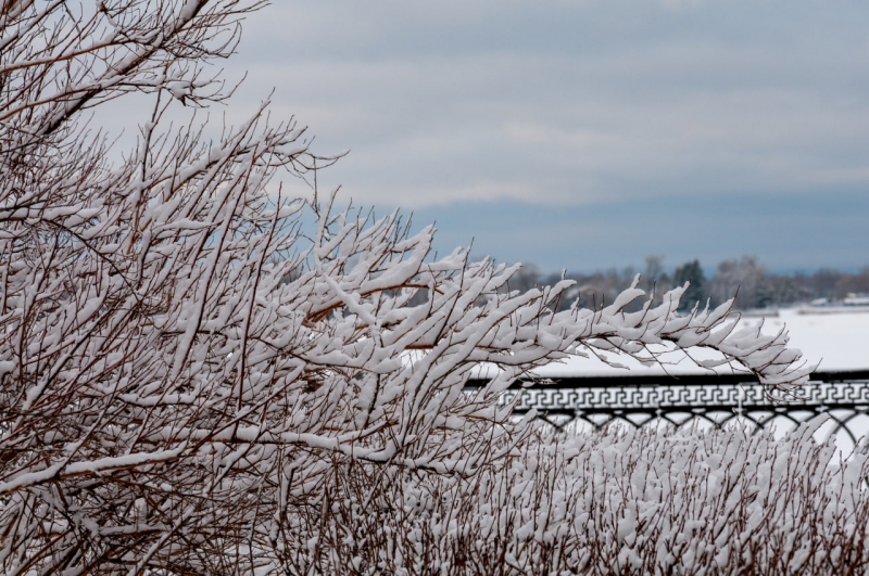Синоптики прогнозируют, что ноябрь в Югре начнется с плюсовых температур и снега
