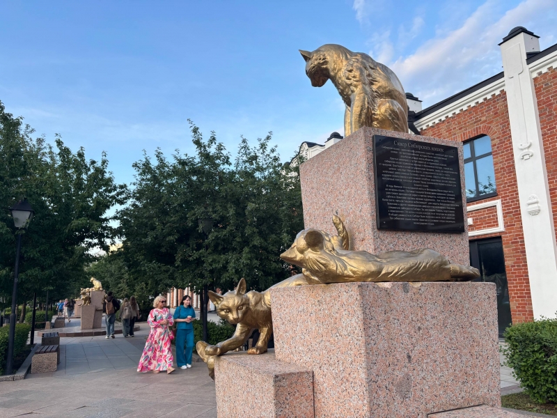 На экскурсии можно будет пройтись по улицам Тюмени с гидом и увидеть город по-новому