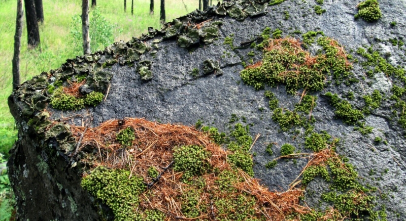По мнению экспертов, надежда найти семью тает с каждым днем