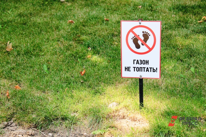 Более 11 миллионов штрафов заплатили за парковку в зеленой зоне Рязани