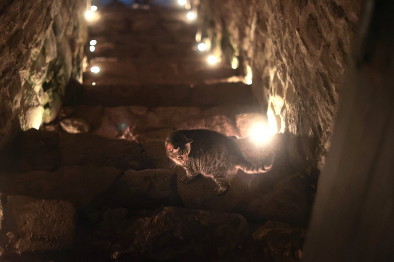 В рамках акции дети и их родители посетили старинные избы, участвовали в викторинах, познакомились с ремеслами