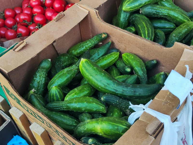 Цены на огурцы меняются стремительнее, чем котировки на нефть