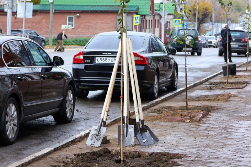 Озеленение в Рязани