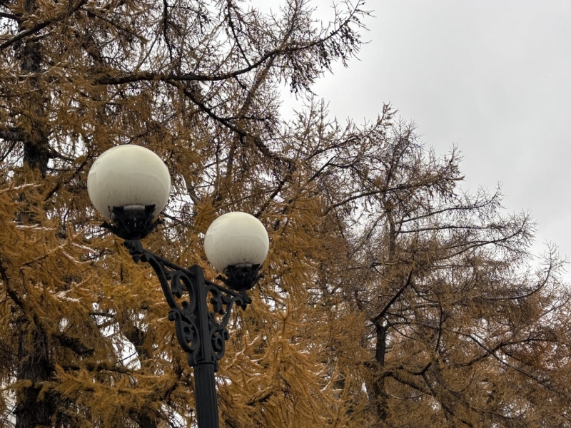 Яков Энгель воспитывает творцов, где нет зуммеров и иксов