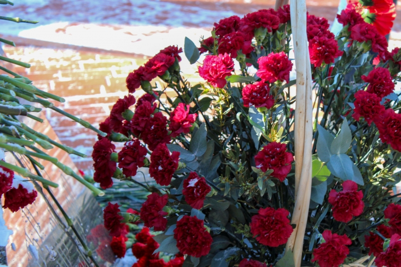 Черные вдовы меняют смерть на деньги