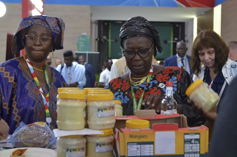 Африканцы нуждаются в российском продовольствии