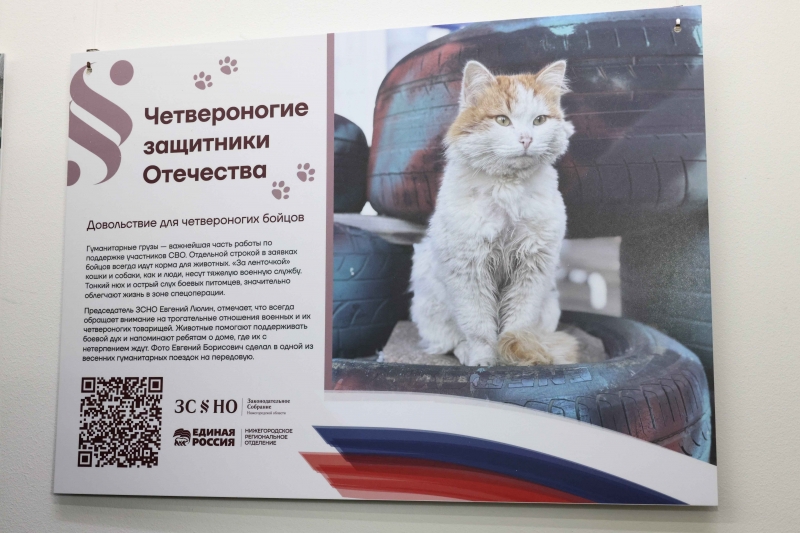 Выставка «Четвероногие защитники Отечества»