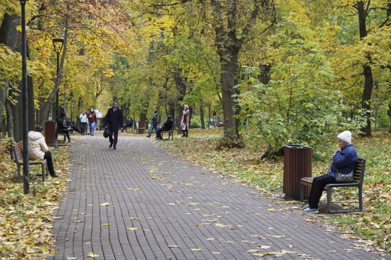 Аллея в парке