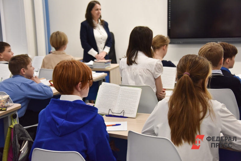 Пилотный проект получил шквал критики