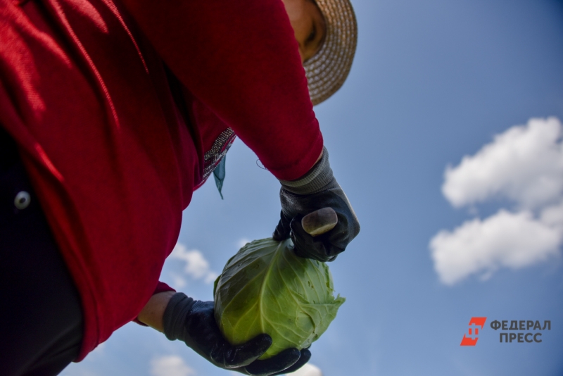 сельское хозяйство