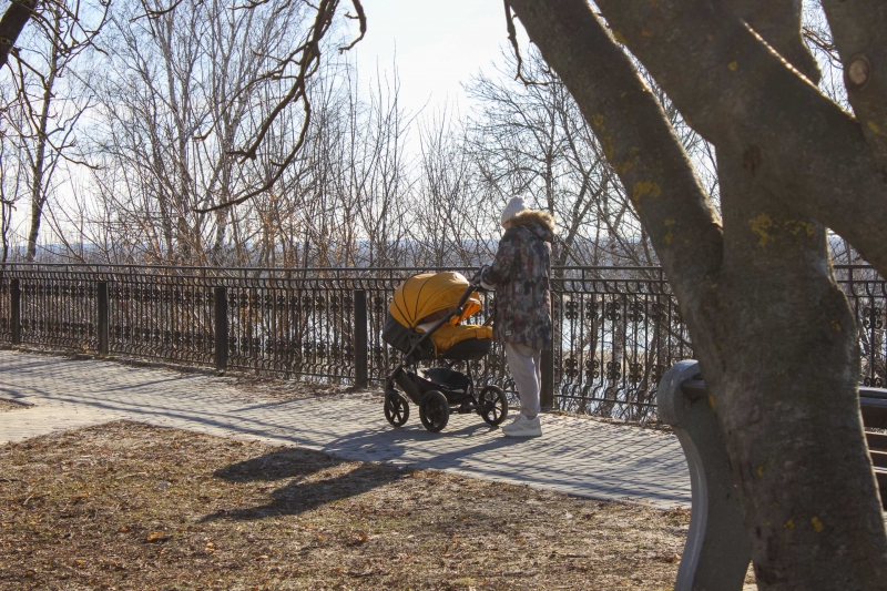 Женщина с коляской
