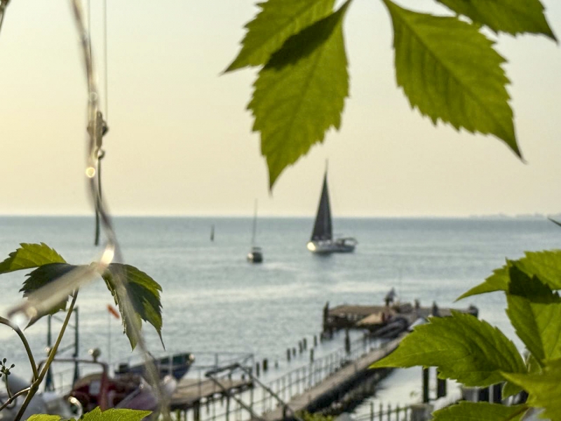 Самые главные события юга России в 2025 году