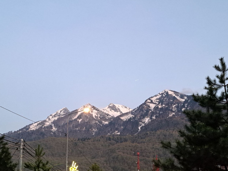 Путину доложили о туристических махинациях в Сочи