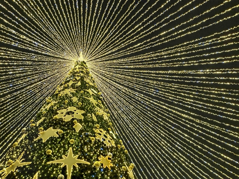 Новогодняя елка