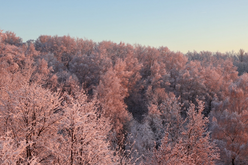 Мороз на улице