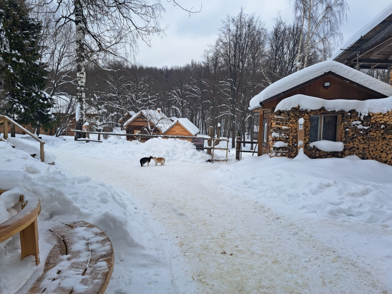 Зима в деревне