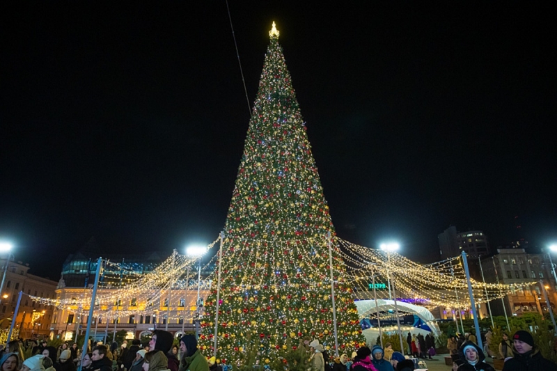 Главная елка Владивостока