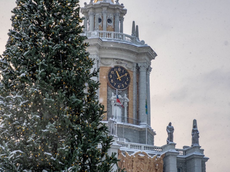 У екатеринбуржцев есть возможность покататься на коньках среди елей в самом центре города