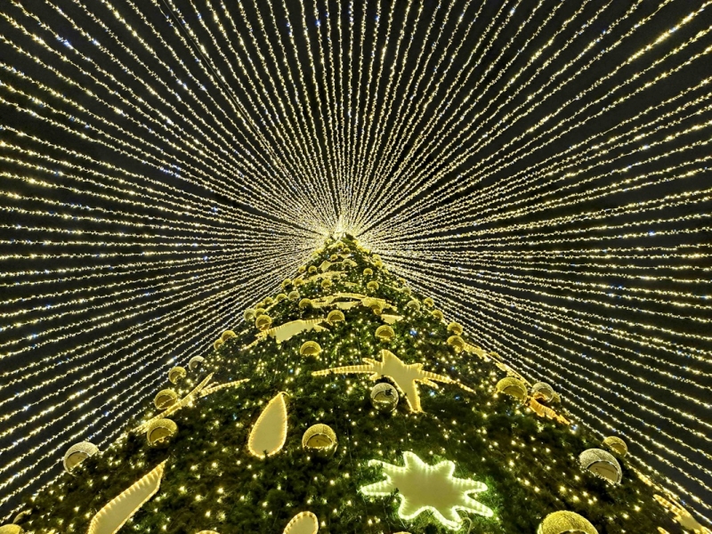 Новогодняя елка