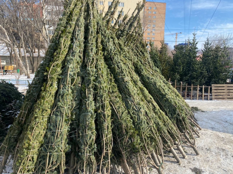 Елочный базар