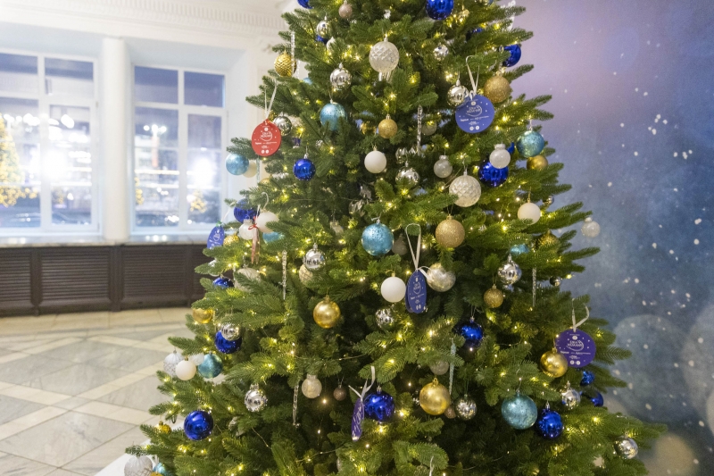 «Елка желаний»