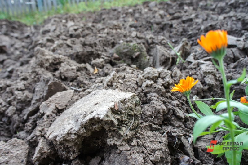 депутат краснодар