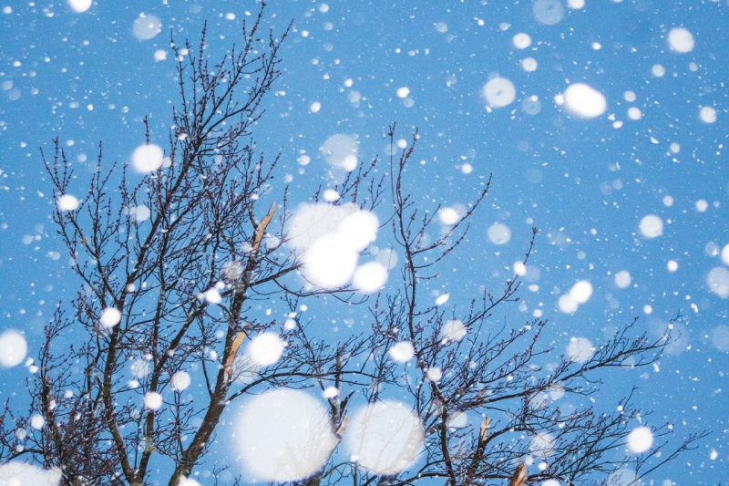 Где в новогоднюю ночь на Кубани ожидаются снегопады