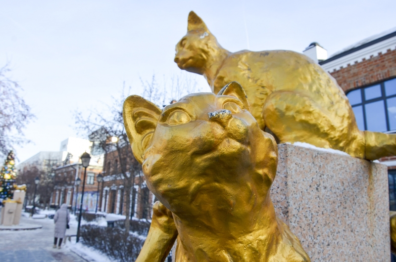 парк сибирских кошек тюмень