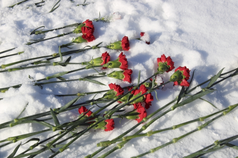 Военно-транспортный самолет Ан-124 «Руслан» рухнул на жилые дома в Иркутске-2