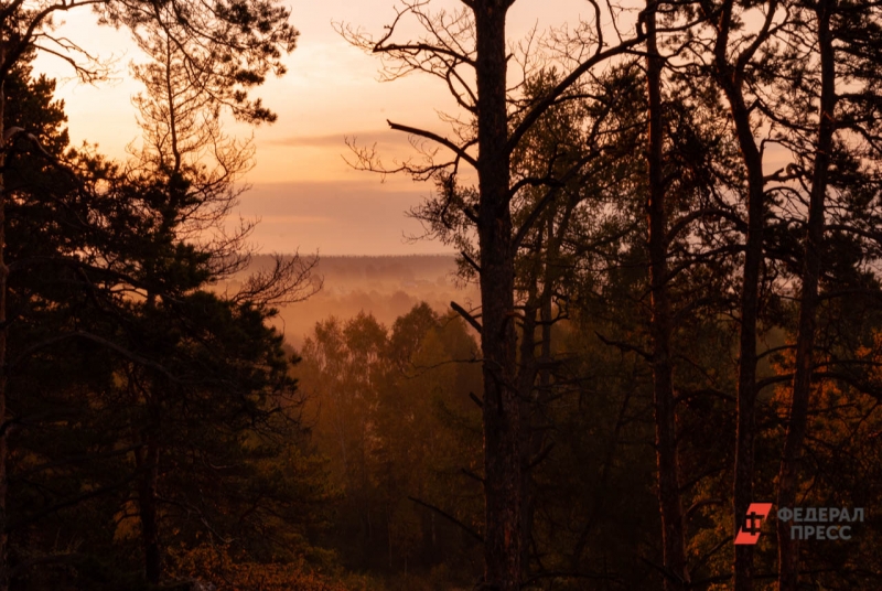 Причиной большинства ЧП становится человеческий фактор