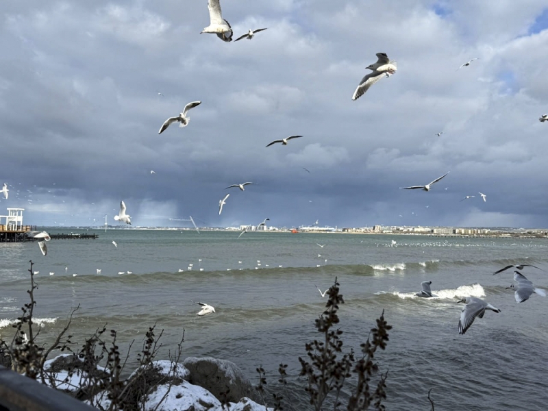 Сухогруз из Болгарии сел на мель в акватории Черного моря