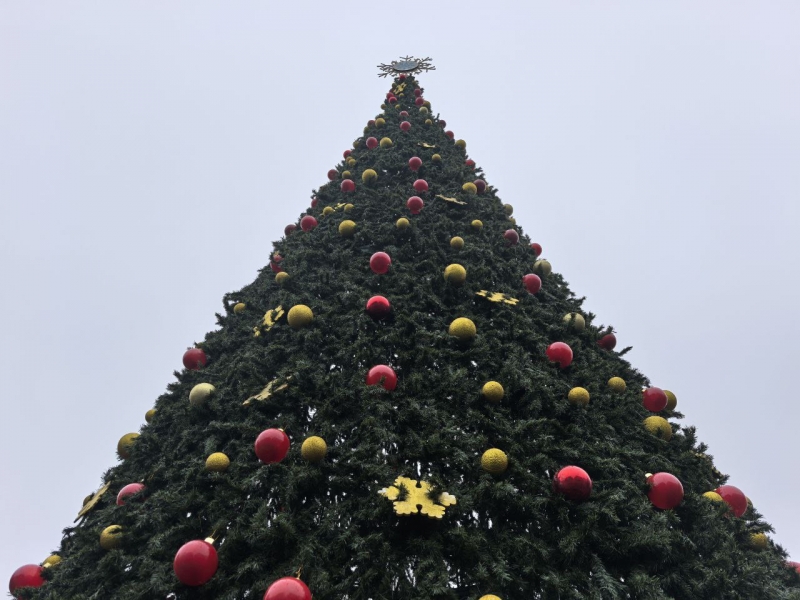 Новогодняя ель