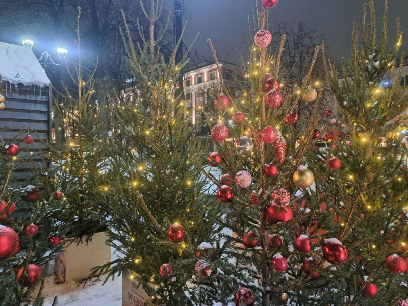 В УрФО в этом году активно рубили деревья